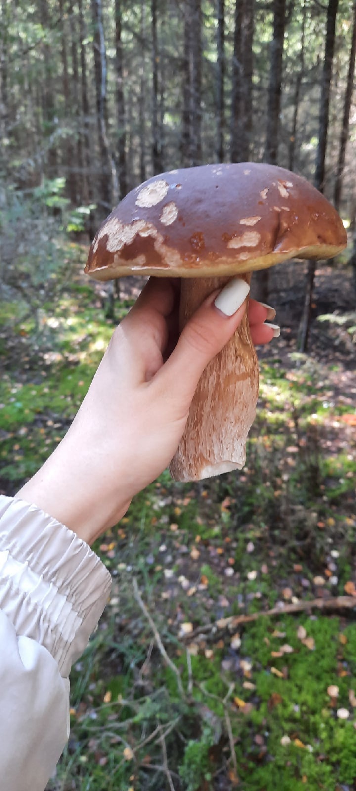 Фотография находки