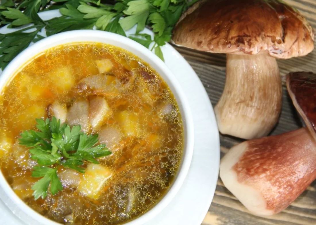 Рецепт с фото суп из белых свежих грибов рецепт