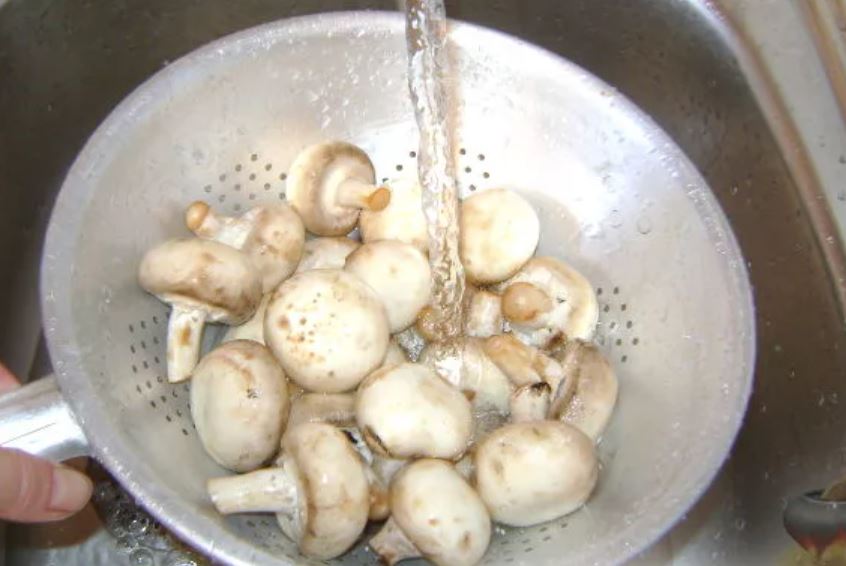 Нужно мыть грибы. Грибы в раковине. Мытье грибов. Грибы мытые. Обработка грибов шампиньонов.