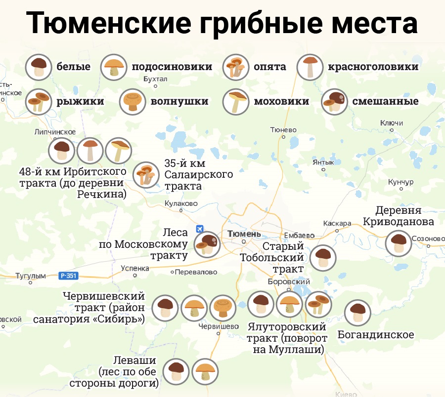 Грибная карта свердловской области