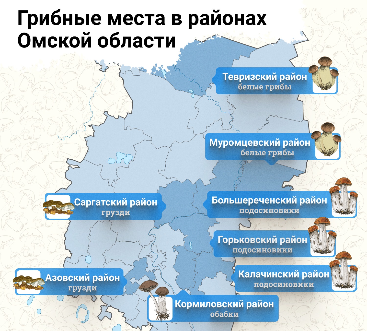 Грибные места в районах Омской области