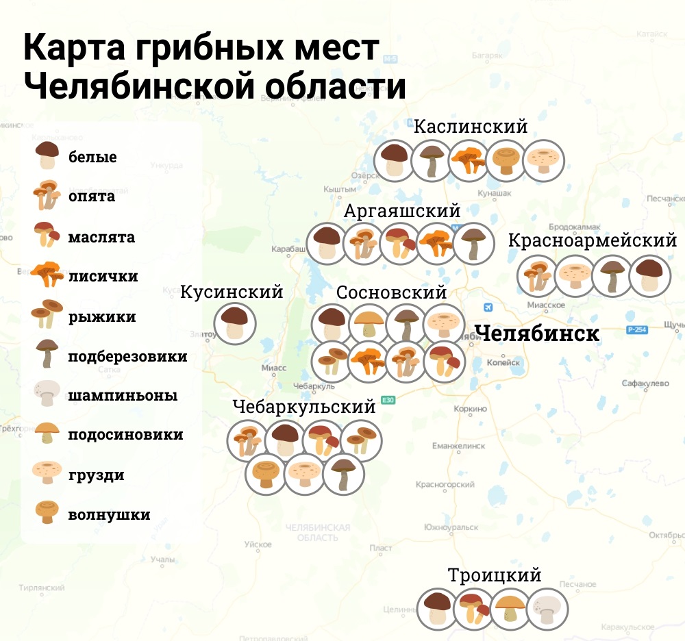Карта грибных мест Челябинской области