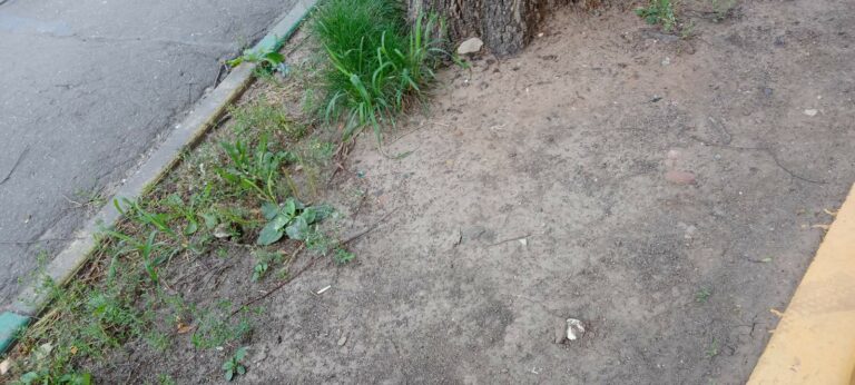 Фотография находки