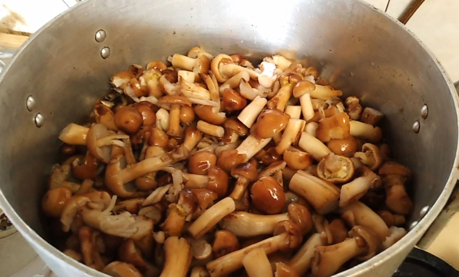 Сколько надо жарить грибы