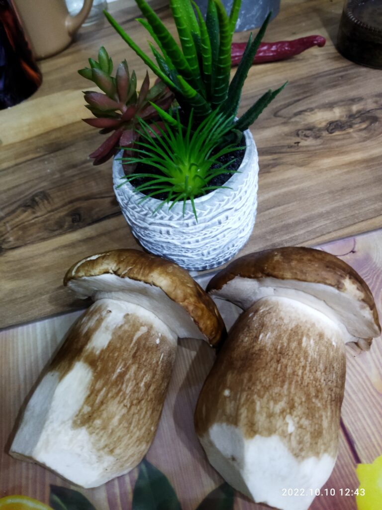Фотография находки
