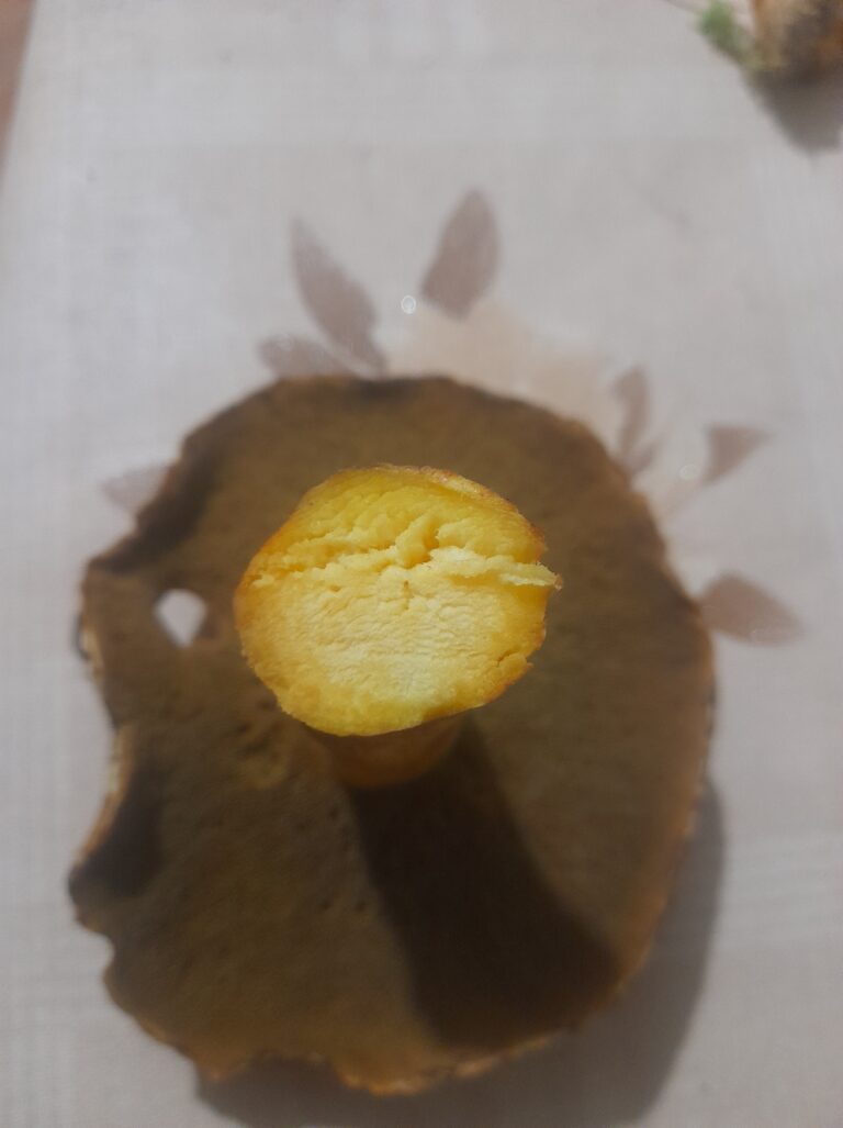 Фотография находки