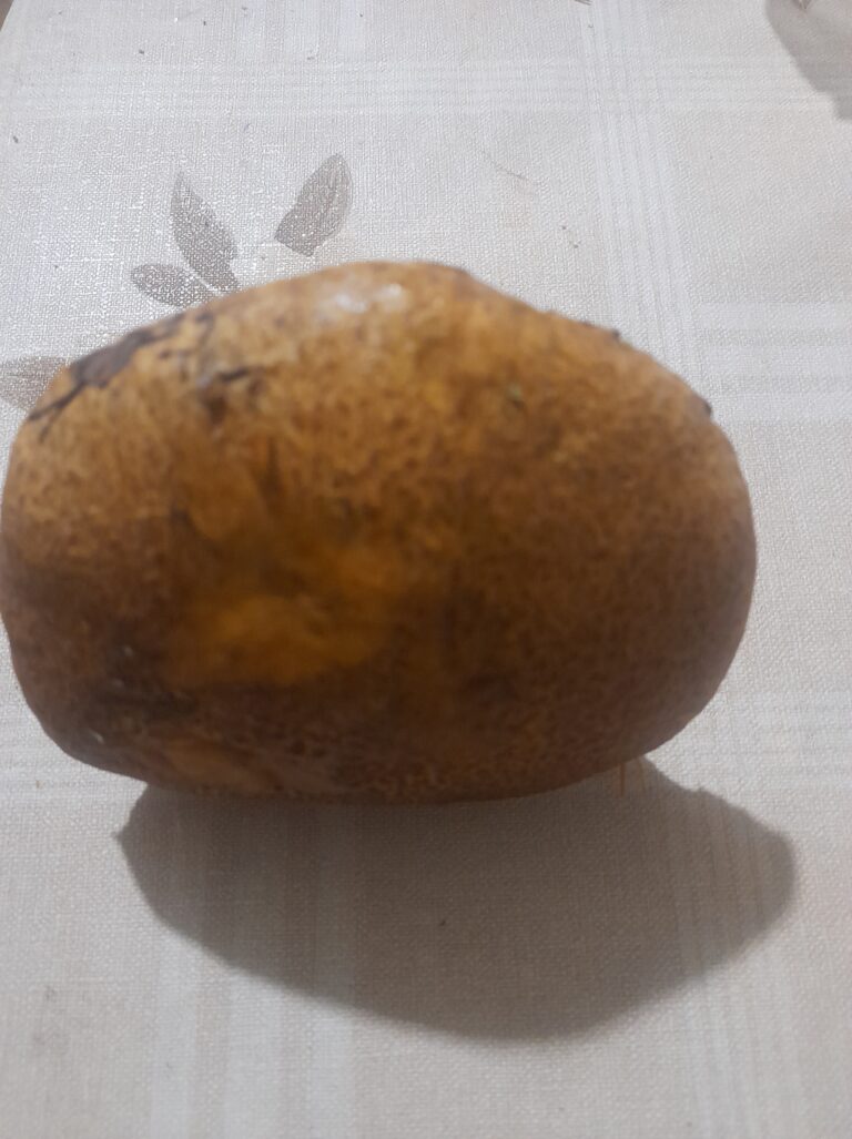 Фотография находки