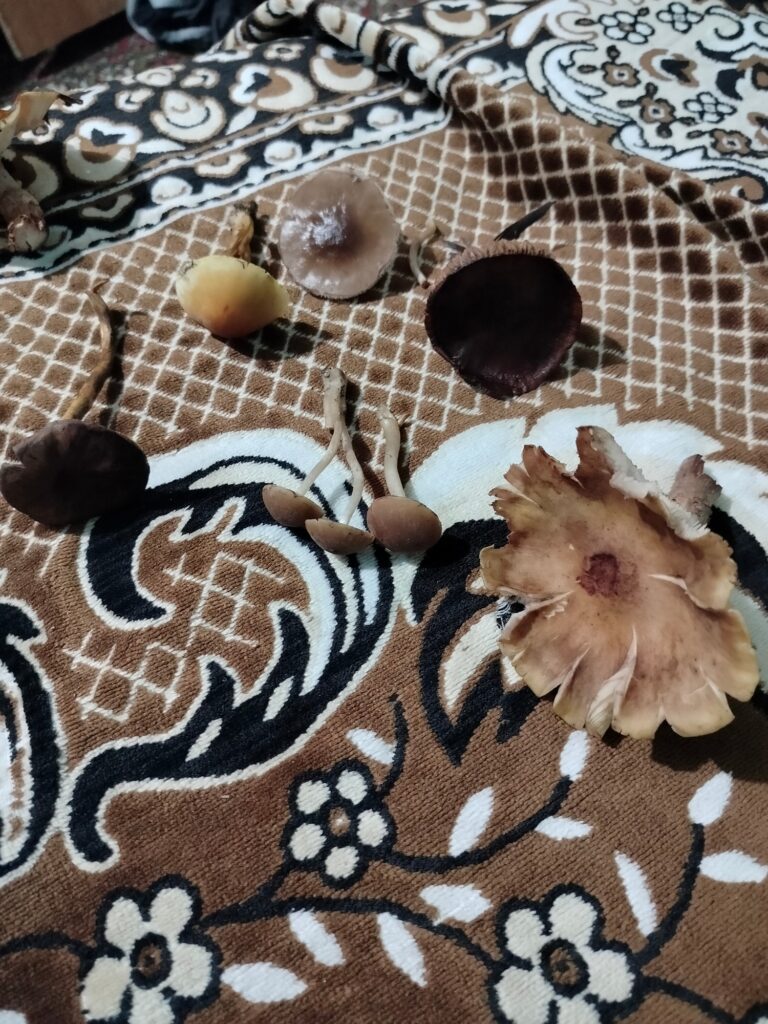 Фотография находки