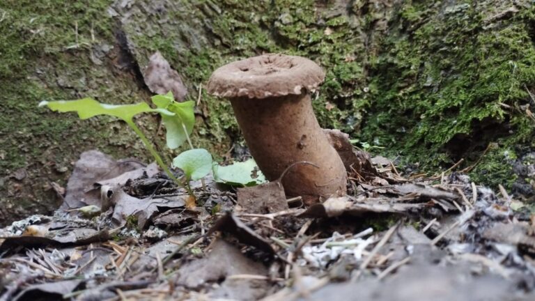 Фотография находки