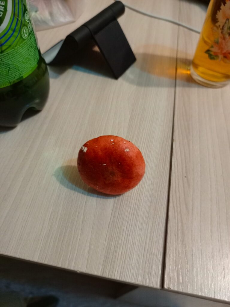 Фотография находки