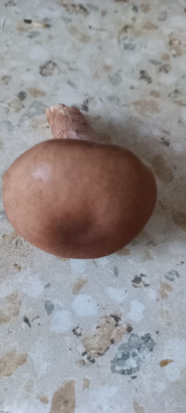Фотография находки