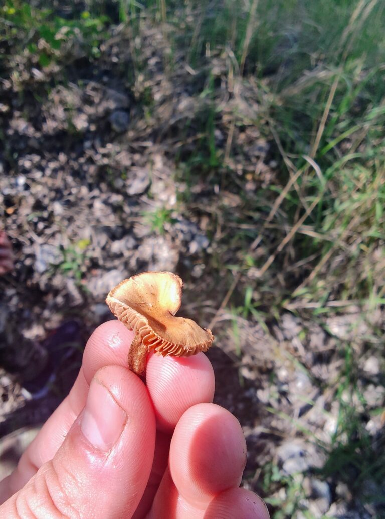 Фотография находки