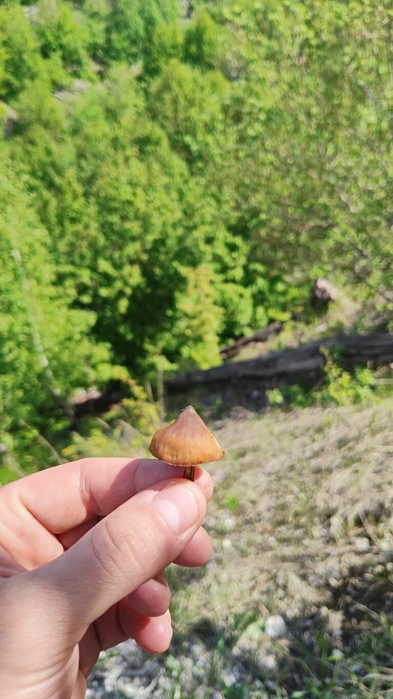 Фотография находки
