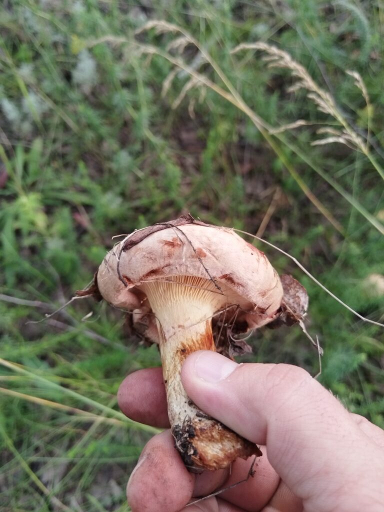 Фотография находки