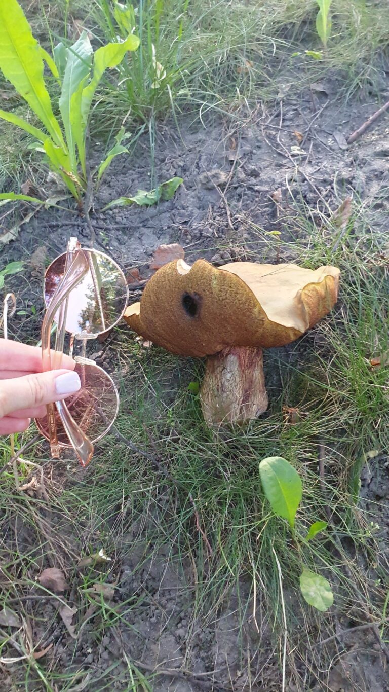 Фотография находки