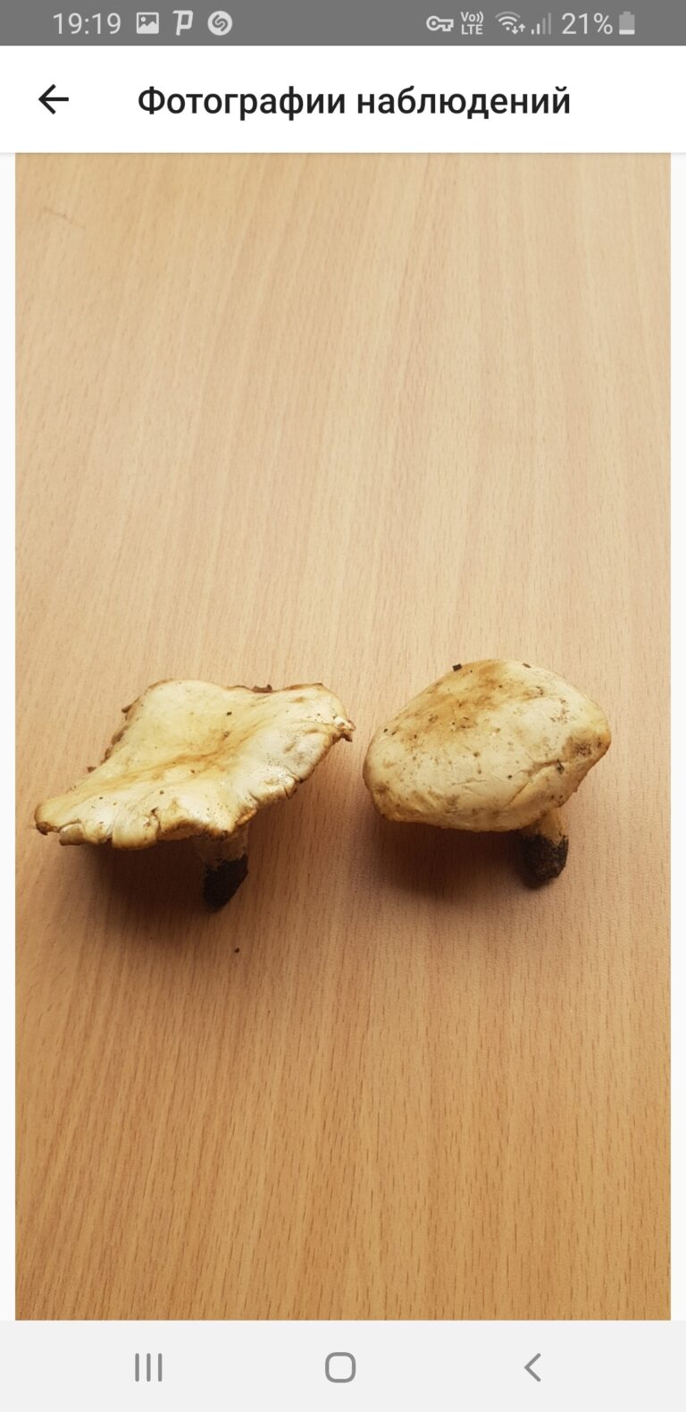 Фотография находки