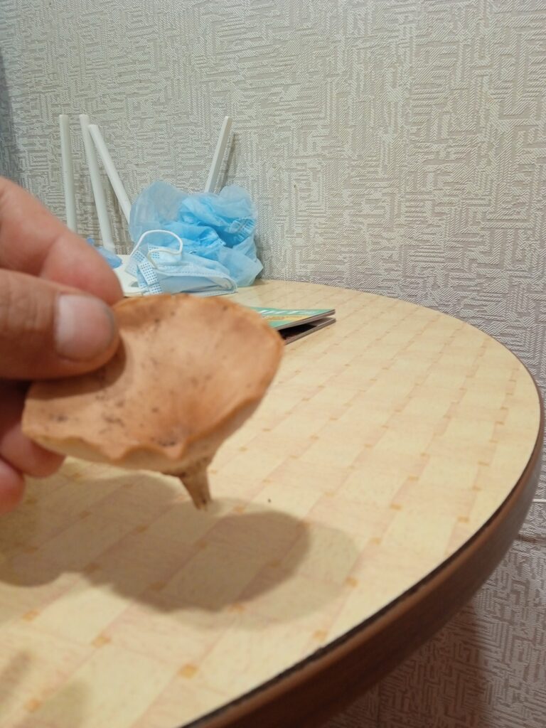 Фотография находки