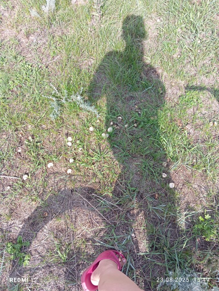 Фотография находки