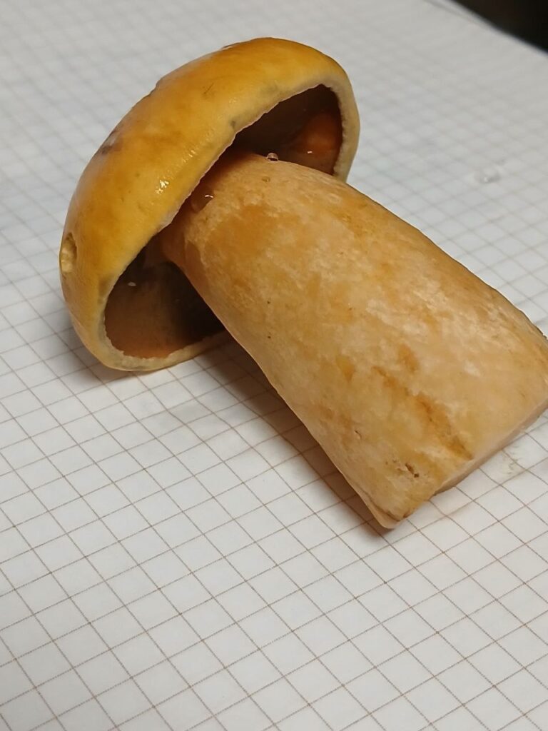 Фотография находки
