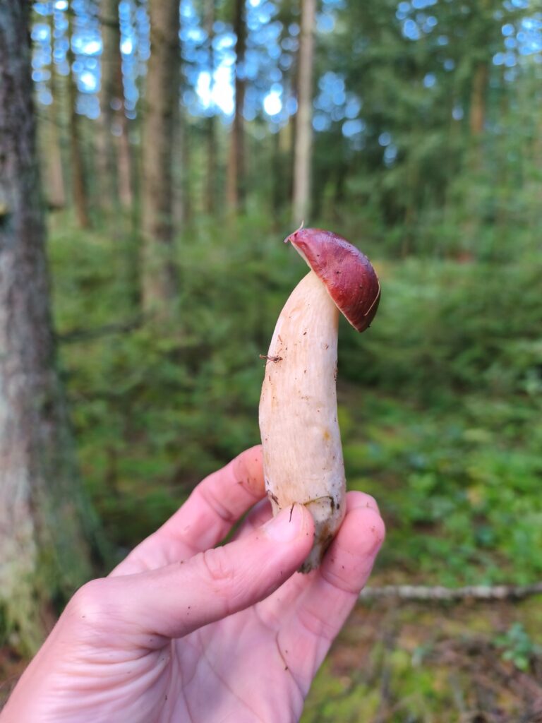 Фотография находки