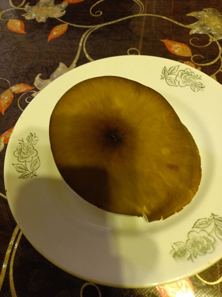 Фотография находки
