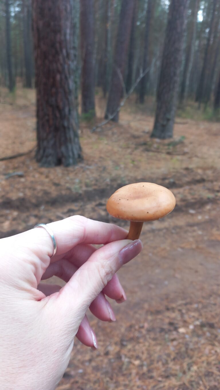 Фотография находки